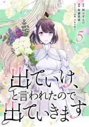 軍人少女、皇立魔法学園に潜入することになりました。～乙女
